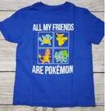POKEMON ALL MY FRIENDS ARE POKEMON BOYS YOUTH T-SHIRT